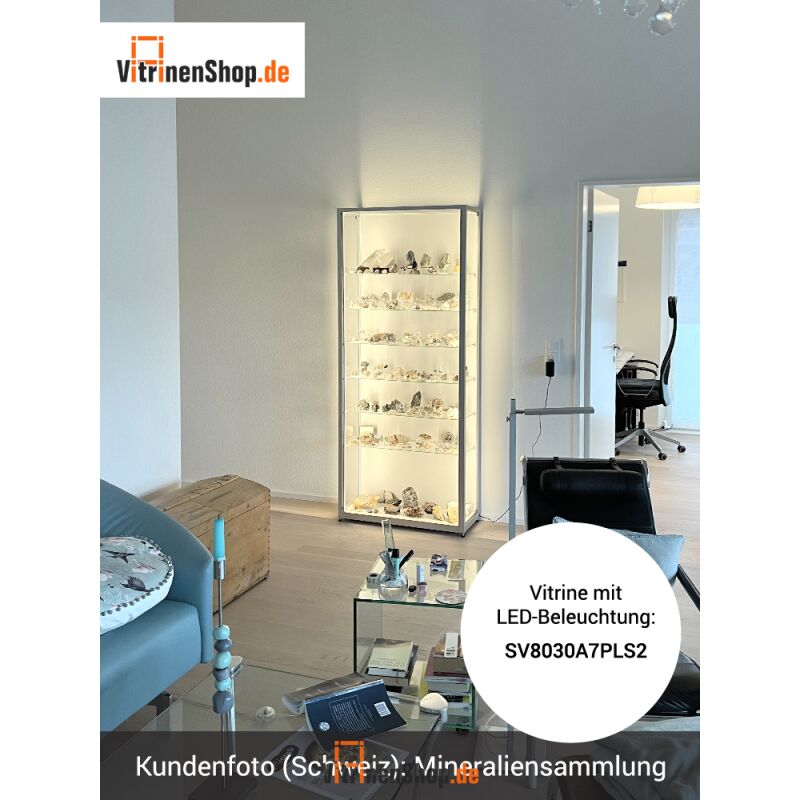 Sammlervitrine Mit Beleuchtung