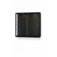 SW1000A0L H&auml;ngevitrine schwarz mit Beleuchtung
